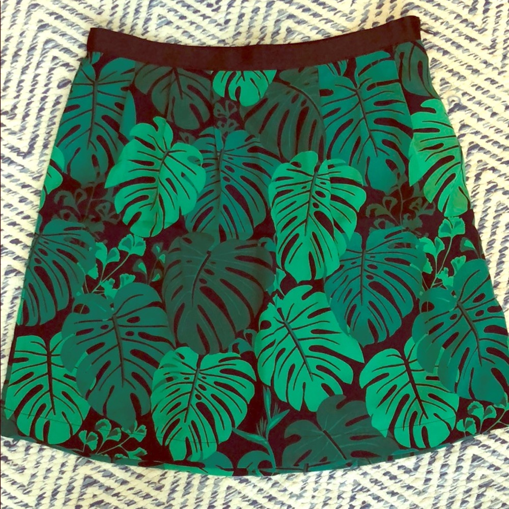 Banana Republic Skirt